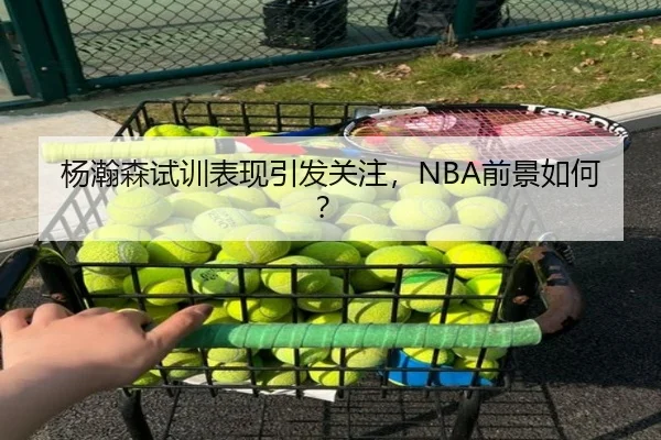 杨瀚森试训表现引发关注，NBA前景如何？